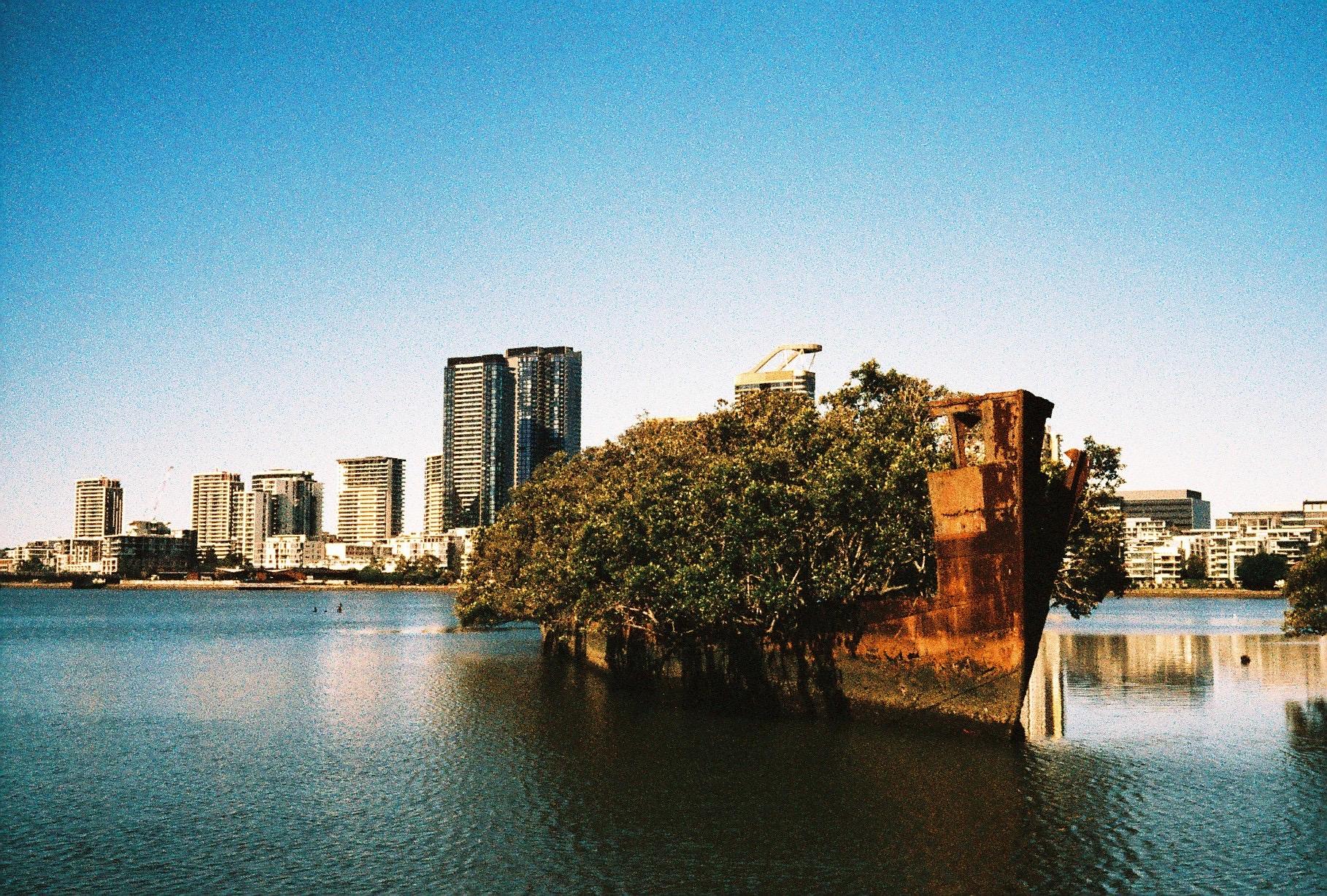 A colour photo of an overgrown rusted shipwreck in the inner Sydney harbour, with high rise buildings visible behind it.